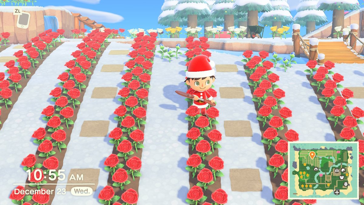 MajorFlash's tweet image. #AnimalCrossing #ACNH #NintendoSwitch