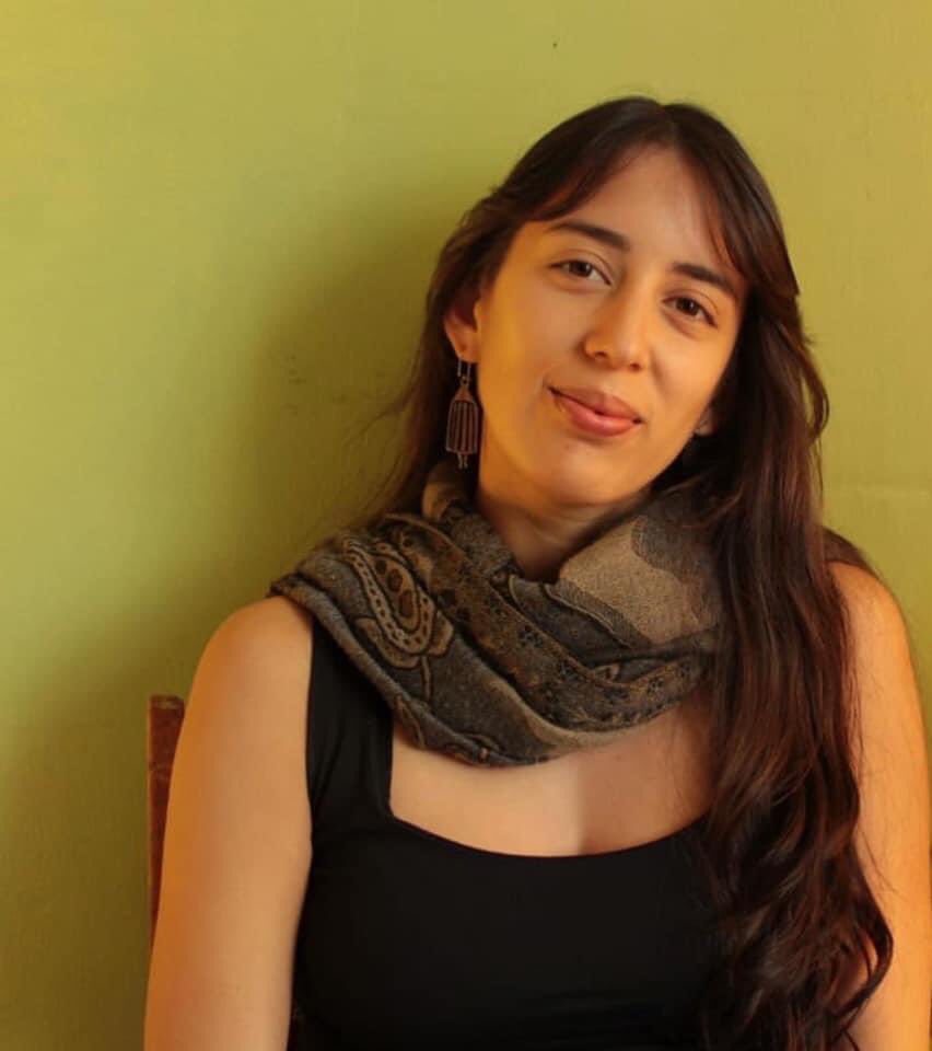 cidesal udec tweet media