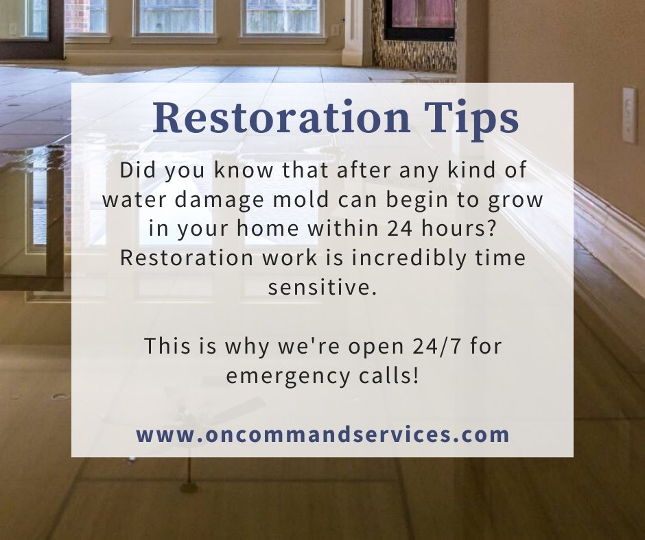 OnCommandRestor's tweet image. Many people don't realize just how quickly mold can take root in their home or building after any kind of water damage. It can begin to grow in as little as 24 hours - this is why it's important to call in a professional to dry everything out! 

oncommandservices.com