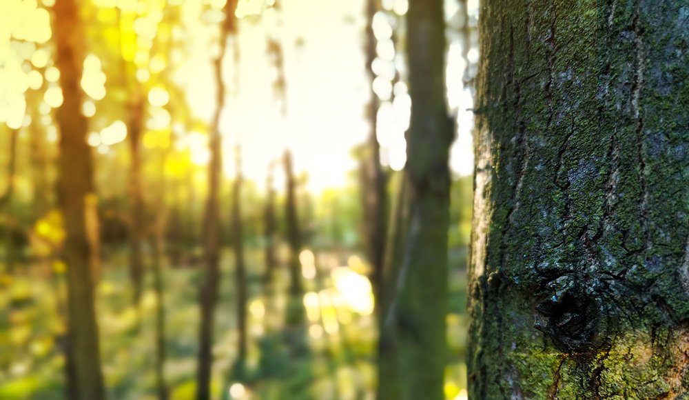 COVID-19 Changed the Workforce Forever. Is Your Business Ready? dlvr.it/RnKCJf #neuco #talent #recruitment