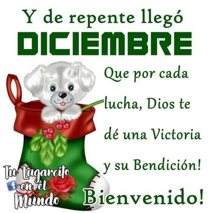 silvia_bonill tweet picture