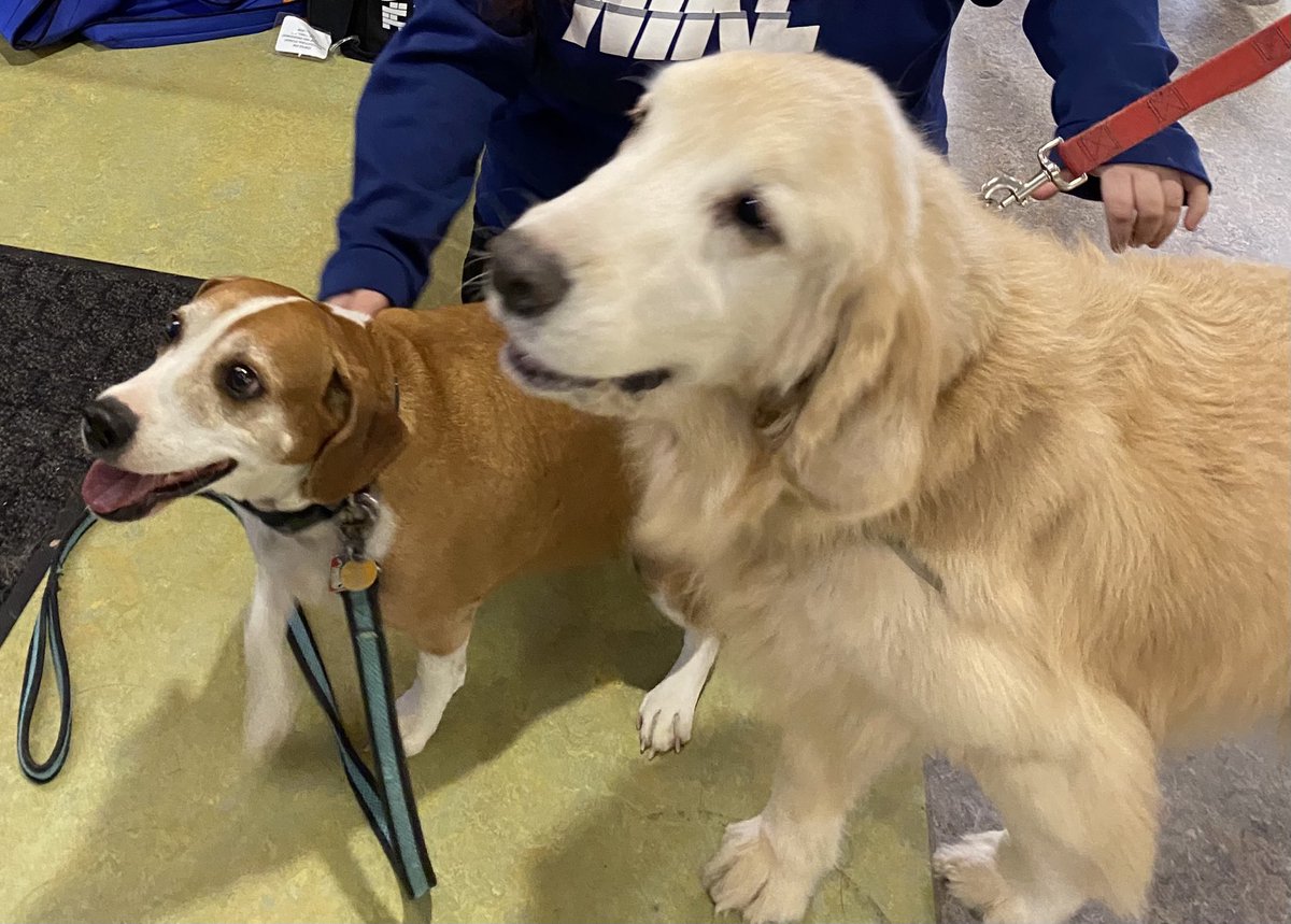 Don’t forget to stop in FOLGER TODAY from 3-4:30pm to visit me and Bam-Bam!!!  We can’t wait to see you all!  ⁦<a href="/IUPAWARE/">HWP Peer Educators</a>⁩ ⁦<a href="/IUPedu/">Indiana University of Pennsylvania</a>⁩ ⁦<a href="/IUPOHRLD/">IUP Housing</a>⁩ ⁦<a href="/IUPLibraries/">IUP Libraries</a>⁩ ⁦<a href="/IUPstudents/">IUP Students</a>⁩ ⁦<a href="/IUPFSL/">IUP Fraternity and Sorority Life</a>⁩