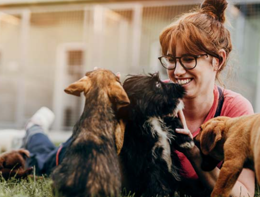 DVMRecruiting's tweet photo. We’re big fans of kindness at Banfield. So we’re celebrating all the acts of kindness happening throughout the Banfield community. Read more:https://t.co/scTPZC4y2j #banfieldcareers #bhere #petcare #lovewhatyoudo https://t.co/oCEwEuve5P