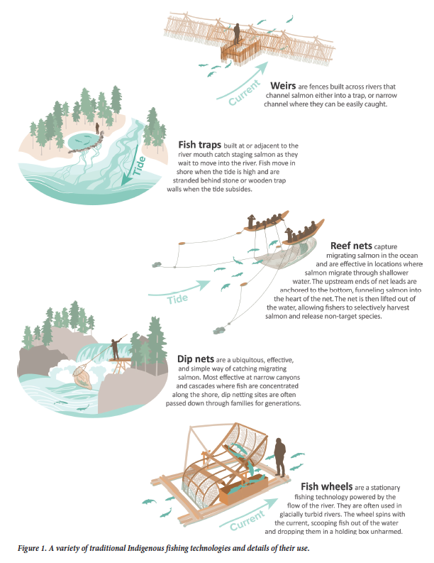 NEW PAPER: #Indigenous #Systems of #Management for #Pacific #Salmon #Fisheries led by @will_atlas with an awesome team @Jon_W_Moore @elissaksb @CiaraESharpe @andreajanereid @WilliamHousty @jesshousty @wildsalmoncntr @wildfishNW and many others academic.oup.com/bioscience/adv…