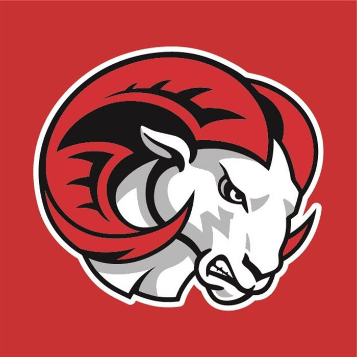 изображение животных для эмблемы. стилизованные животные логотип. крутые логотипы с животными. эмблема звери. логотип животные.