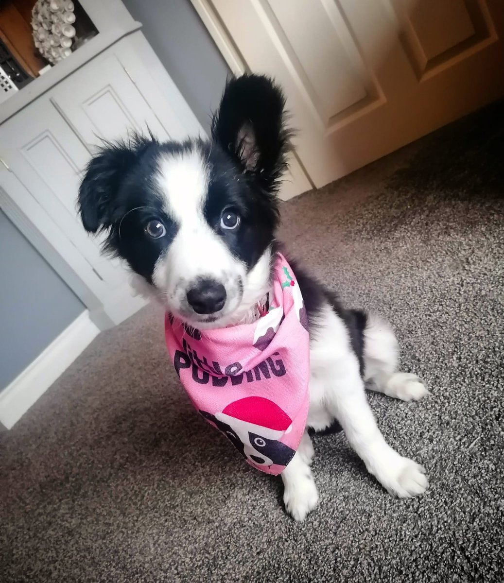 Adam Wallwork (@adamwallwork) on Twitter photo 