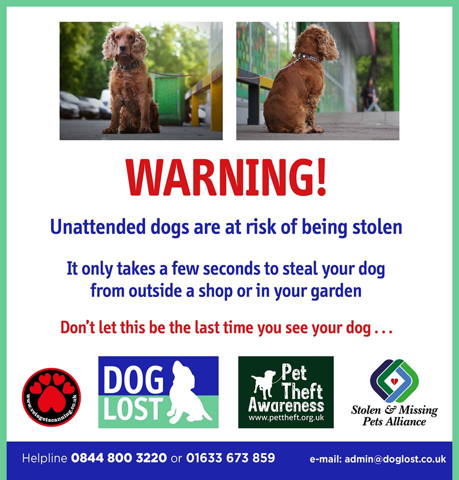 Missing Pets GB tweet media