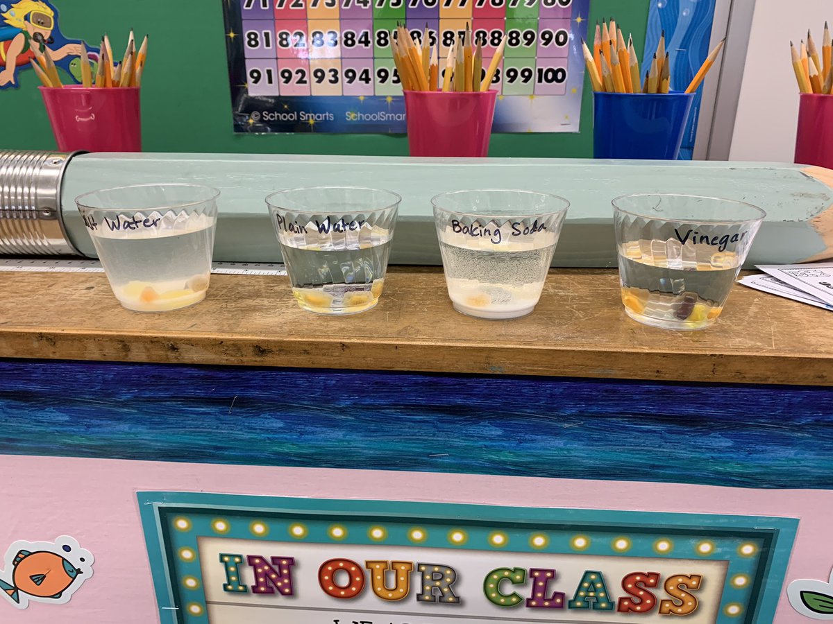 Gummy Bear Science-Matter
<a href="/JennHolmgreen/">Jenn Holmgreen</a> <a href="/JEGonzaloIRE/">Jennifer Gonzalo</a> 
<a href="/IRESManatees/">Indian River Elem.</a>
