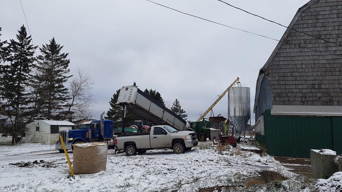 First 30ton of canola. Thanks for the trucking <a href="/Windcrest08/">James Kinsman</a>