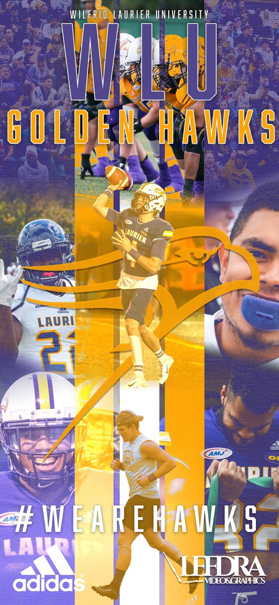 For the Purple and Gold! 

#SoarAbove | #WallpaperWednesday