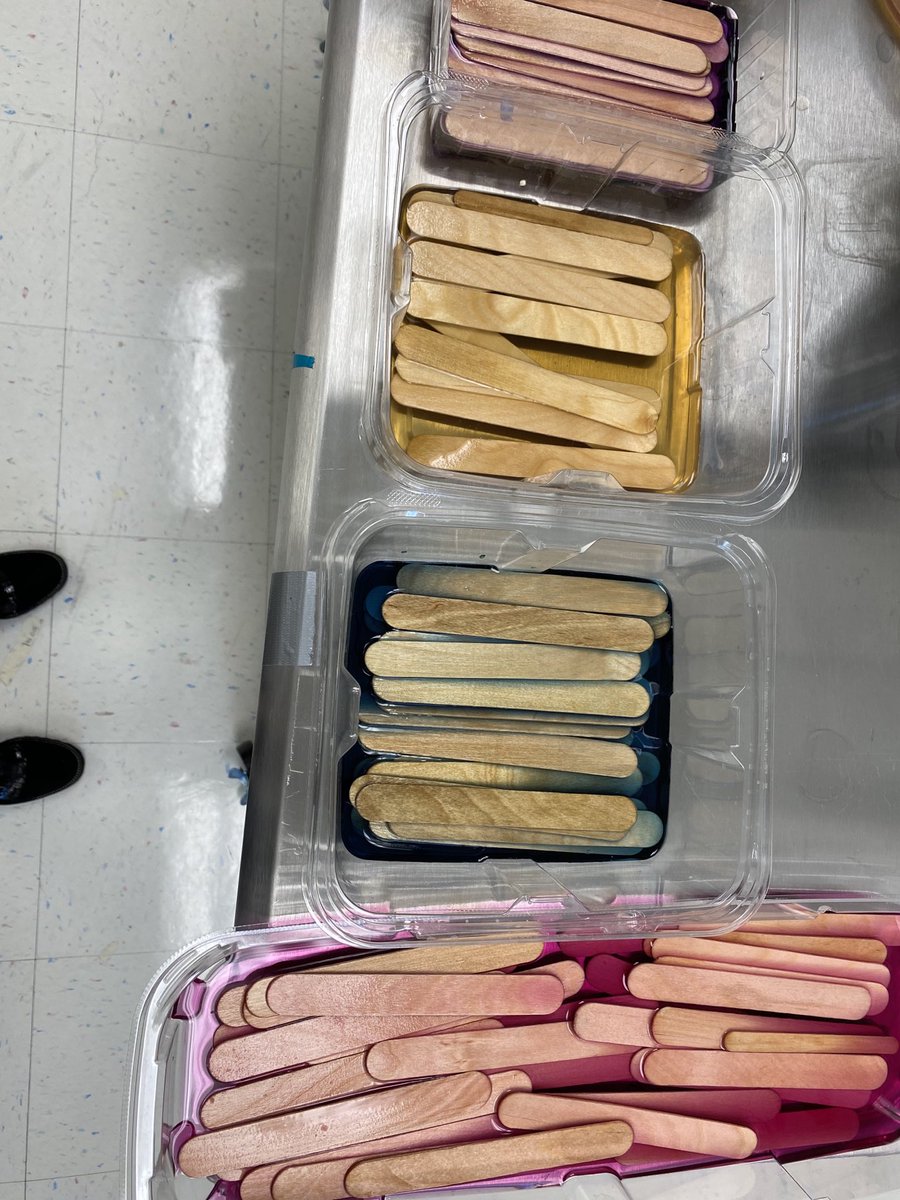 LPage_STEM & Music Teacher tweet media