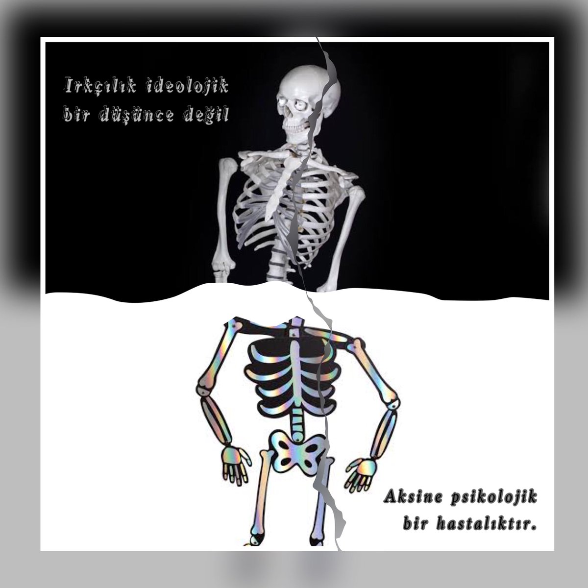 Kadir Ayar tweet media