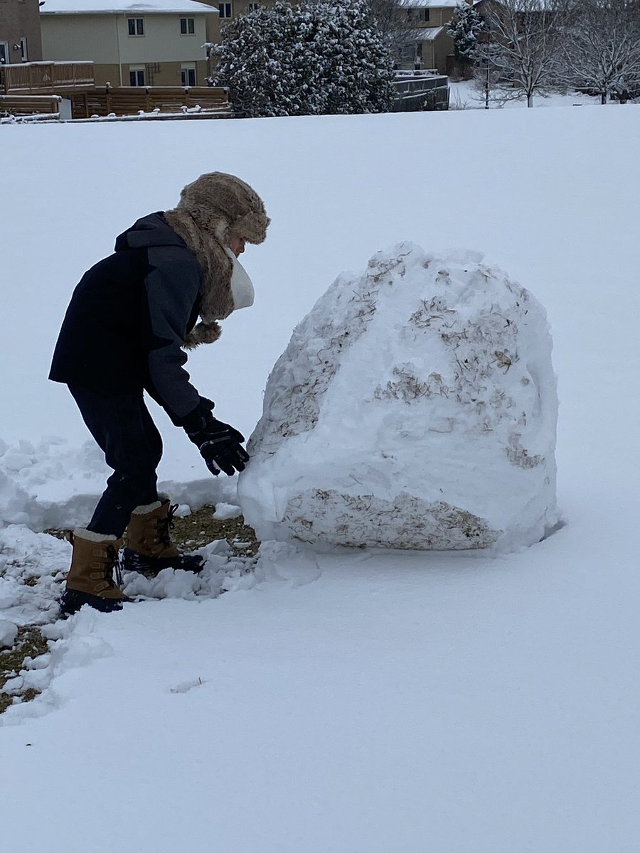 denneclegg's tweet photo. We took advantage of the unexpected snowfall and a challenge to build a shell structure that would fit an FDK student was issued! Take a look! https://t.co/msCyvm7AOU