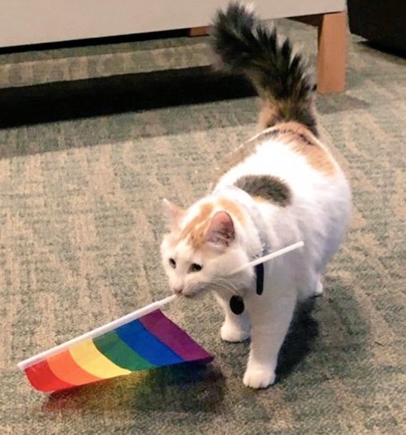 Catalyst (gay_catalyst) Twitter