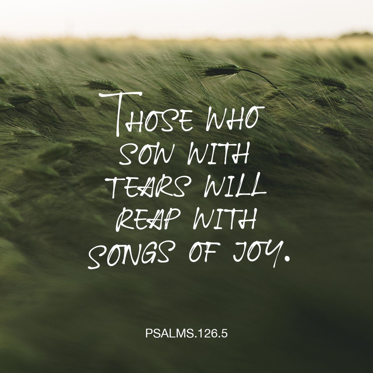 YouVersion's tweet image. Those who sow with tears will reap with songs of joy. - Psalm 126:5