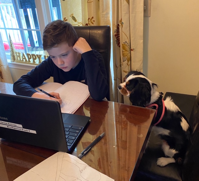 KristiBogaczyk (@kristibogaczyk) on Twitter photo Who says kids AND dogs can't attend Google Meets? Glad to see my students (and their furry friends) paying such close attention to math lessons both in and outside of class! <a href="/GoMESDukes/">Marlboro Elementary School</a> <a href="/marlborosd/">Marlboro CSD</a> Who says kids AND dogs can't attend Google Meets? Glad to see my students (and their furry friends) paying such close attention to math lessons both in and outside of class! <a href="/GoMESDukes/">Marlboro Elementary School</a> <a href="/marlborosd/">Marlboro CSD</a>