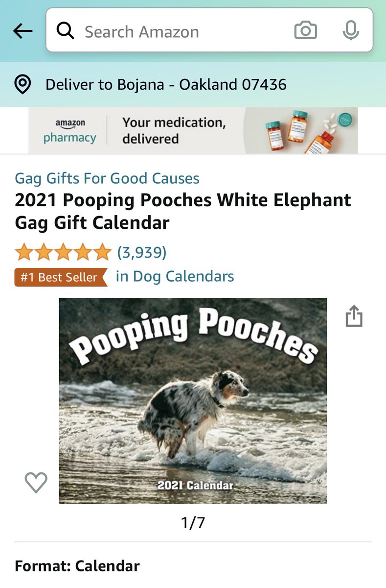 BoMarceta's tweet photo. 2021 will be the best year ever! #2021 #pooches https://t.co/6CDEsIGqEF