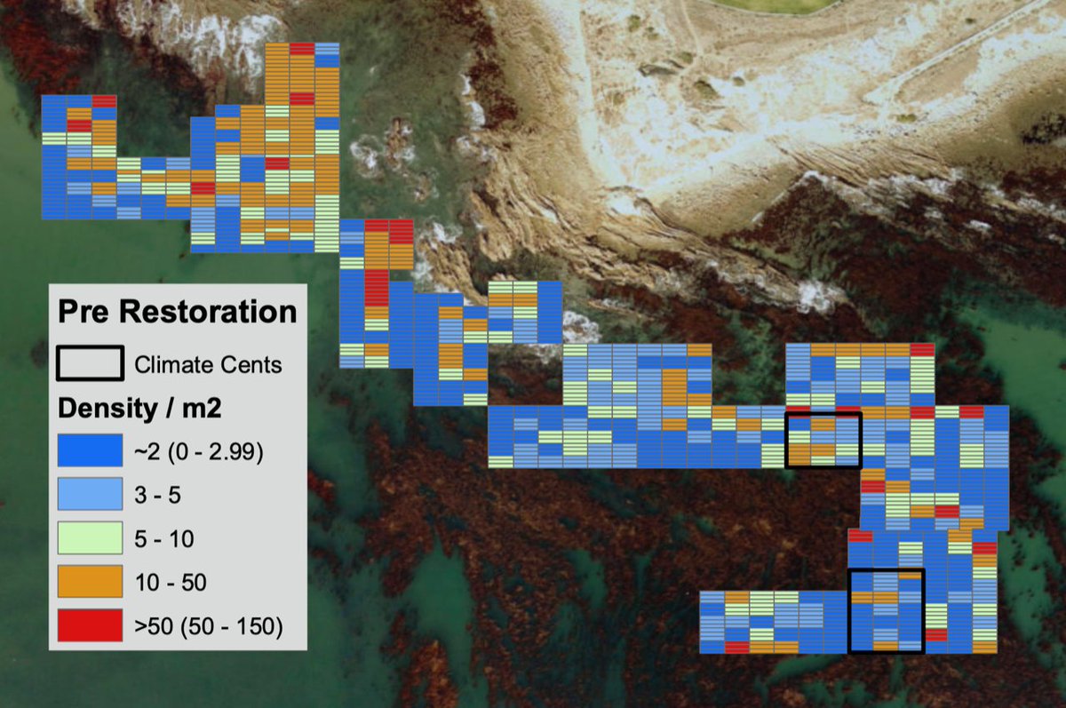Climate Cents tweet media