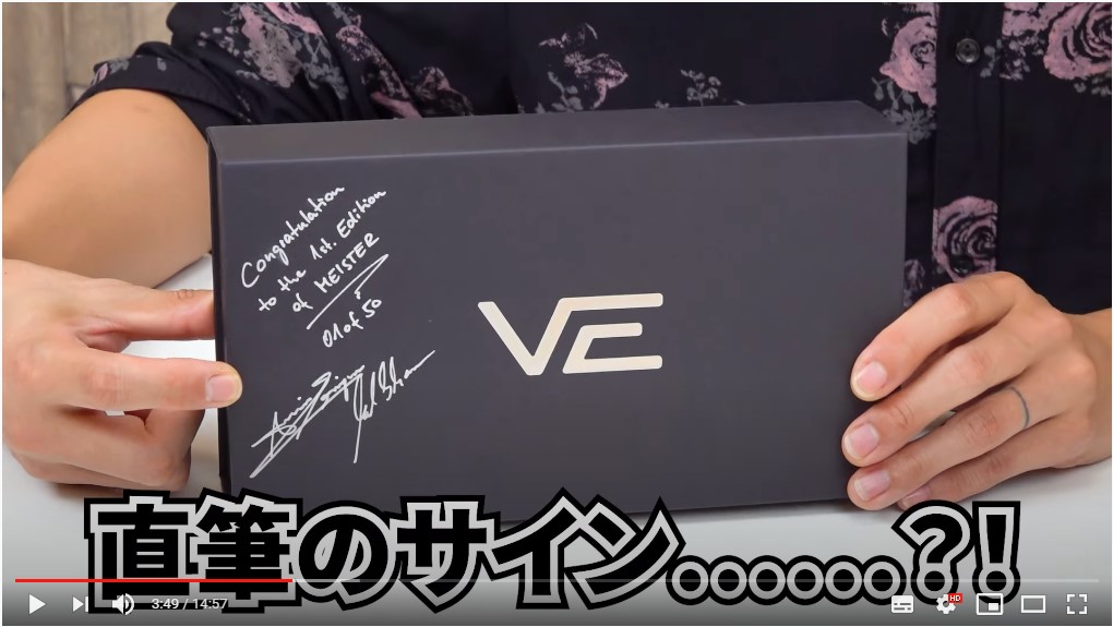 VISION EARS MEISTER (カスタムIEM) 【公式通販】