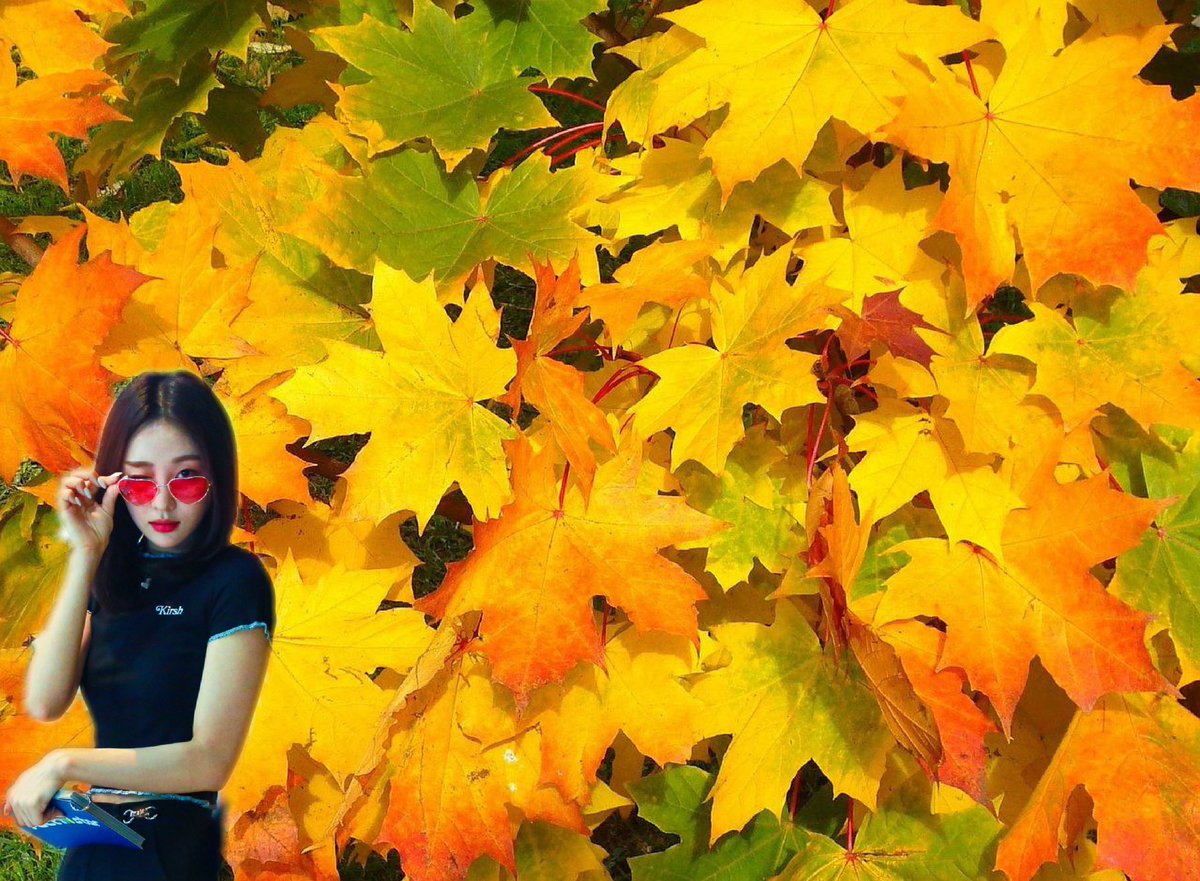 yves leaves (I realize it’s pronounced differently just enjoy the photo then go away)