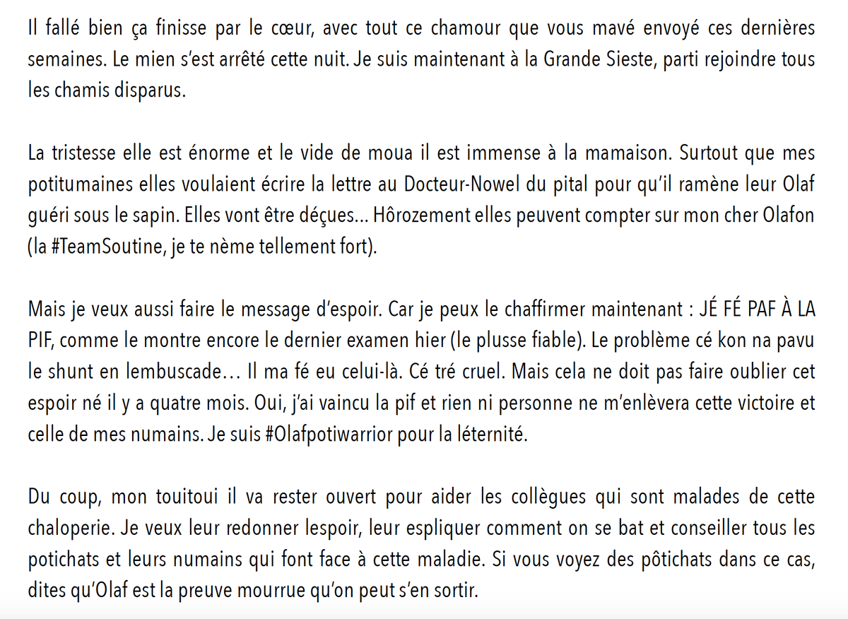 Olaf_Chat's tweet image. ⚫️ Je suis parti cette nuit à la Grande sieste, les chamis. Même si mes numains ils sont inconsolables, je voulé vous laisser un message d'espoir comevoissi. 
Bisounez. 
Votre Olaf ❤️