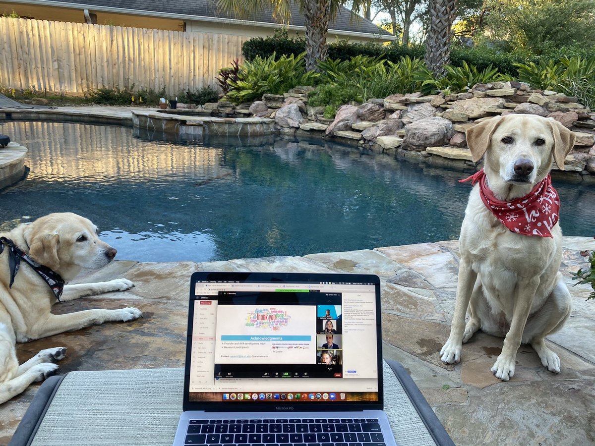 harrison_laur's tweet image. Conferencing in 2020 #USASP2020 @US_ASP