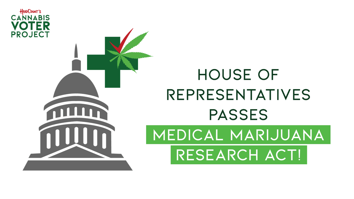 Cannabis Voter Project tweet media