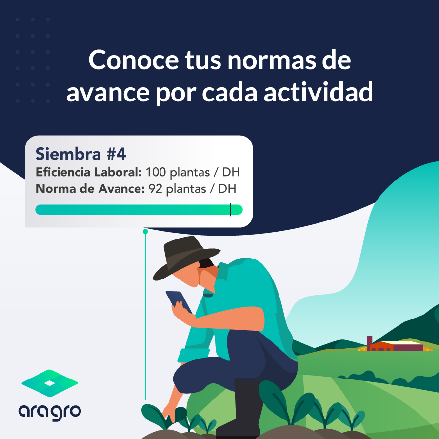 AragroApp's tweet photo. ¿Te imaginas tener todos tus datos agrícolas en un mismo lugar?👩🏻‍🌾💭
Planifica, monitorea y analiza todos los procesos de tu finca, estés donde estés, con nuestro #AgroSoftware -> 🌱📲 #Aragro https://t.co/Mms7EtpB8b