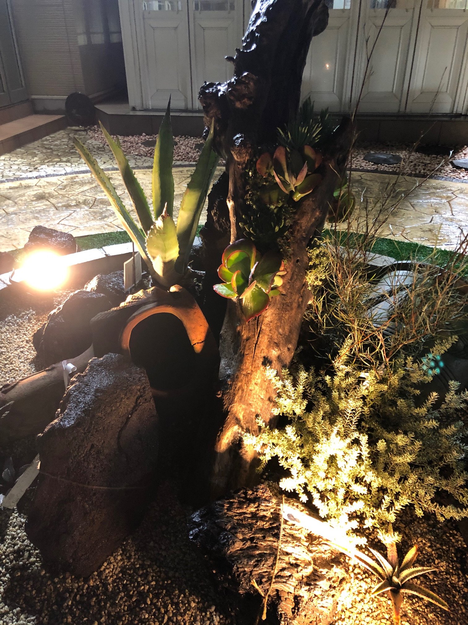 ジョイフル本田 ガーデンセンター در توییتر ガーデンセンター富里店 ジョイフル本田リフォーム内にある円形花壇を カリフォルニアスタイルに 夜のライトアップで雰囲気増し増し カリフォルニアスタイル ドライガーデン ブラックラバロック