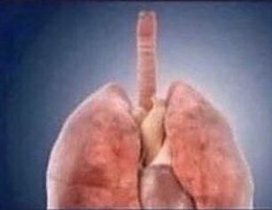 How to confuse a smoker