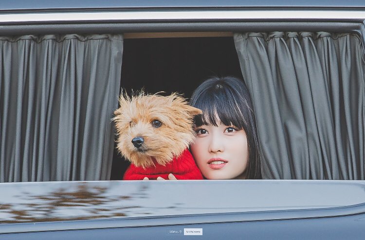 momo barking at boo and confusing him 