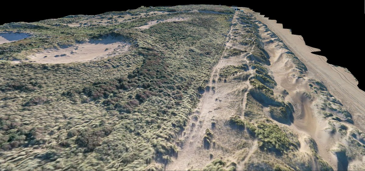 Toine128's tweet photo. Berkheide zuid november 2020 #staatsbosbeheer #berkheide #wassenaar #NPhollandseduinen #stichtingduinbehoud #aircarus https://t.co/rh5Srxu7kQ