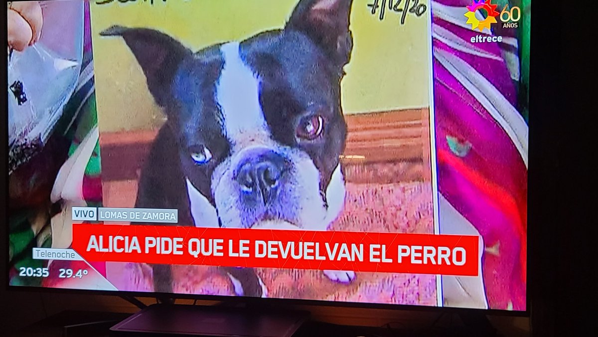 clariana007's tweet photo. Gente de zona sur!! Por favor den rt!! Hay que encontrarlo! Gracias gente buena!!! https://t.co/pCM0o1hbKT