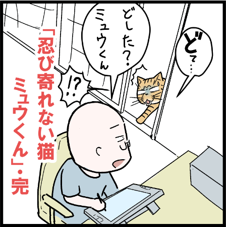 猫としての資質を問われるミュウくん
#にゃんこ #まんが #マンガ #四コマ漫画 #猫 #ねこ部 #ねこ #猫あるある #猫漫画 #ペット #飼い主 #実話漫画 #ねこらぶ #エッセイ漫画 #みんねこ #キャット #ねこのいる生活 