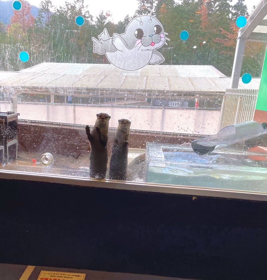 神奈川県で雪遊びをして楽しもう 子連れで遊べるおすすめの場所を紹介 神奈川イベントプラス 親子で楽しいお得な週末お出かけ情報