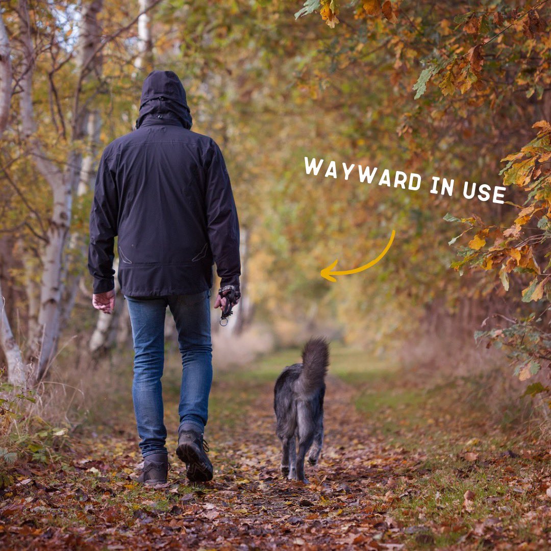 Walk your dog around the block a 100 times and track it with Wayward. 
Download it now from the link in bio. 
#track #trackapp #tracking #100waystowayward #walkwithdog #walkwithdogs #getlost #explorers #autumnwalks🍁 #traveling #traveltips #traveldiaries #trackapp