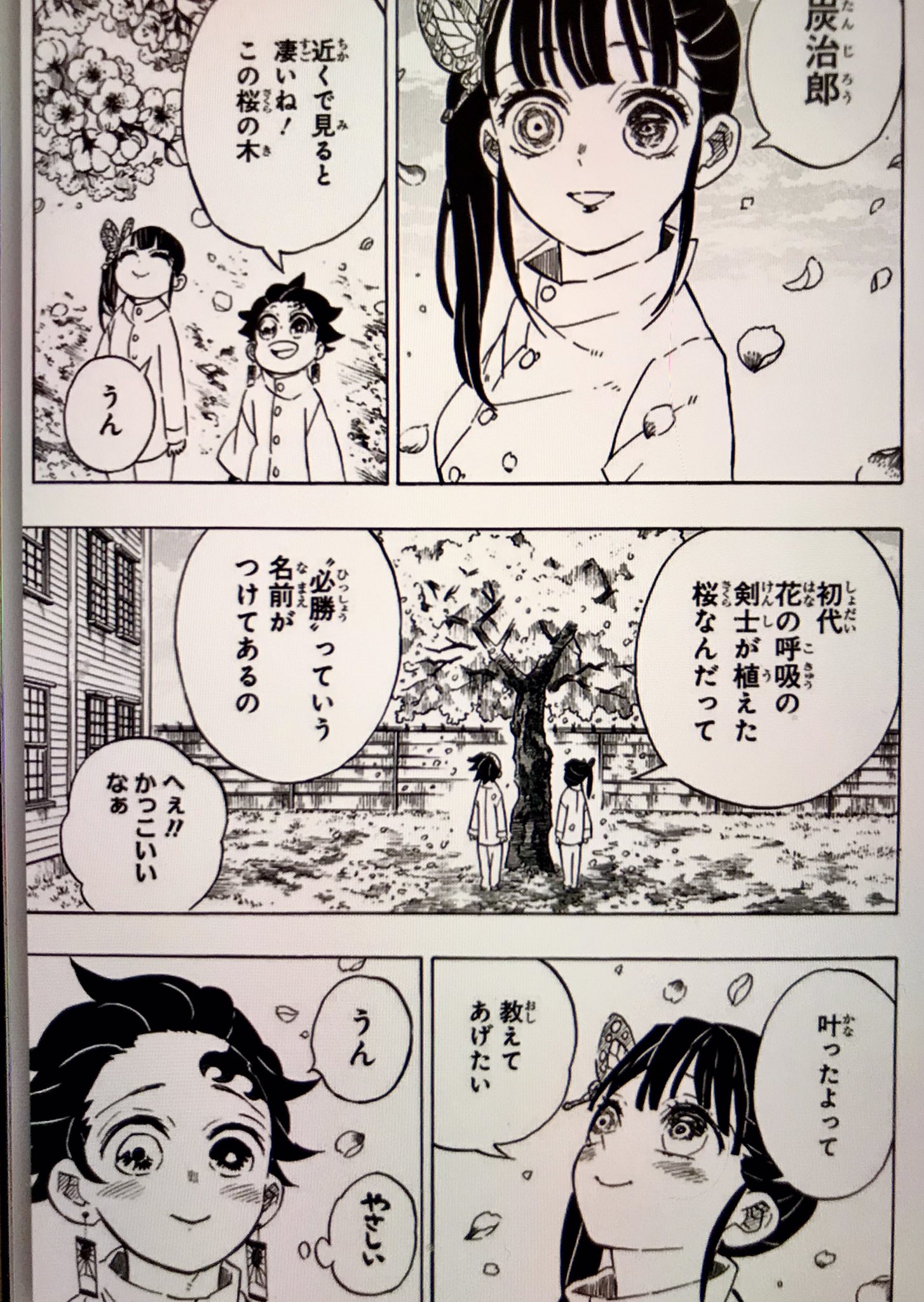 メイリン 美齢 على تويتر 鬼滅の刃 の23巻の最後のカバーには 禰 豆子の着物柄である 麻の葉柄 魔除けの意味あり に 中央に 炭治郎の 耳飾り がある これは 日の呼吸 の始祖から引き継がれた物だ その 日出る 絵柄に 桜 が加えられてて感動 メイリン 美齢 على تويتر 鬼滅の刃 の23巻の最後のカバーには 禰 豆子の着物柄である 麻の葉柄 魔除けの意味あり に 中央に 炭治郎の 耳飾り がある これは 日の呼吸 の始祖から引き継がれた物だ その 日出る 絵柄に 桜 が加えられてて感動