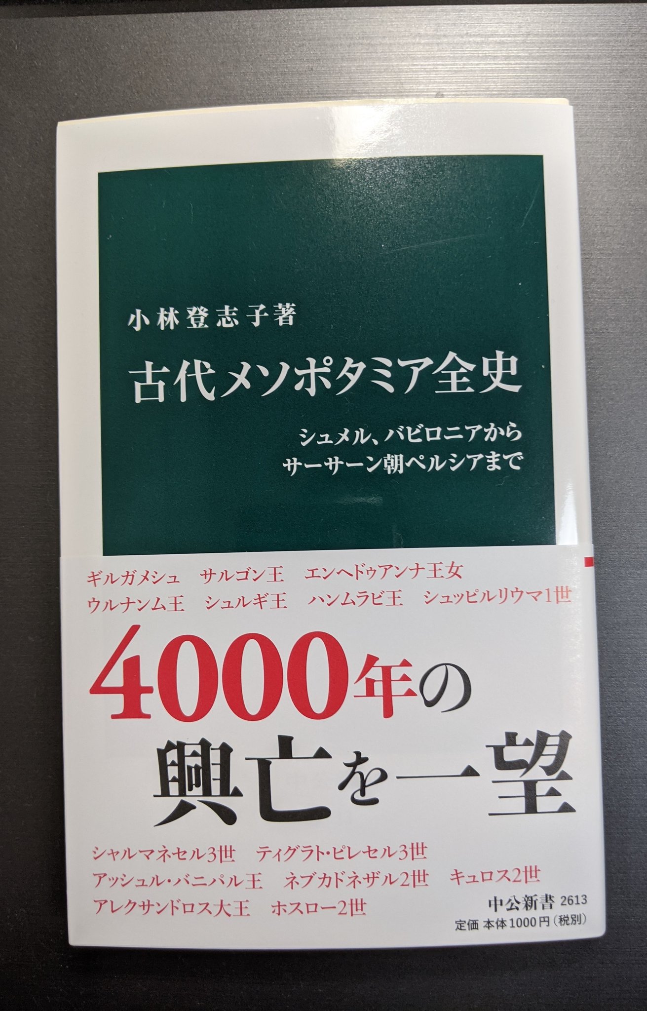 中野 一茂 小林登志子氏 古代メソポタミア全史 中公新書 本書は冒頭の写真のギルガメッシュ像を数分間 凝視することから始まった 本文も豊富な図表と平易な文で読みやすい こんなに沢山の粘土板をみたのは初めて 面白かった 巻末 索引と参考文献付