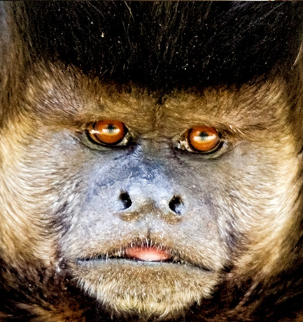 tfw you see the waiter going to a different table with your food