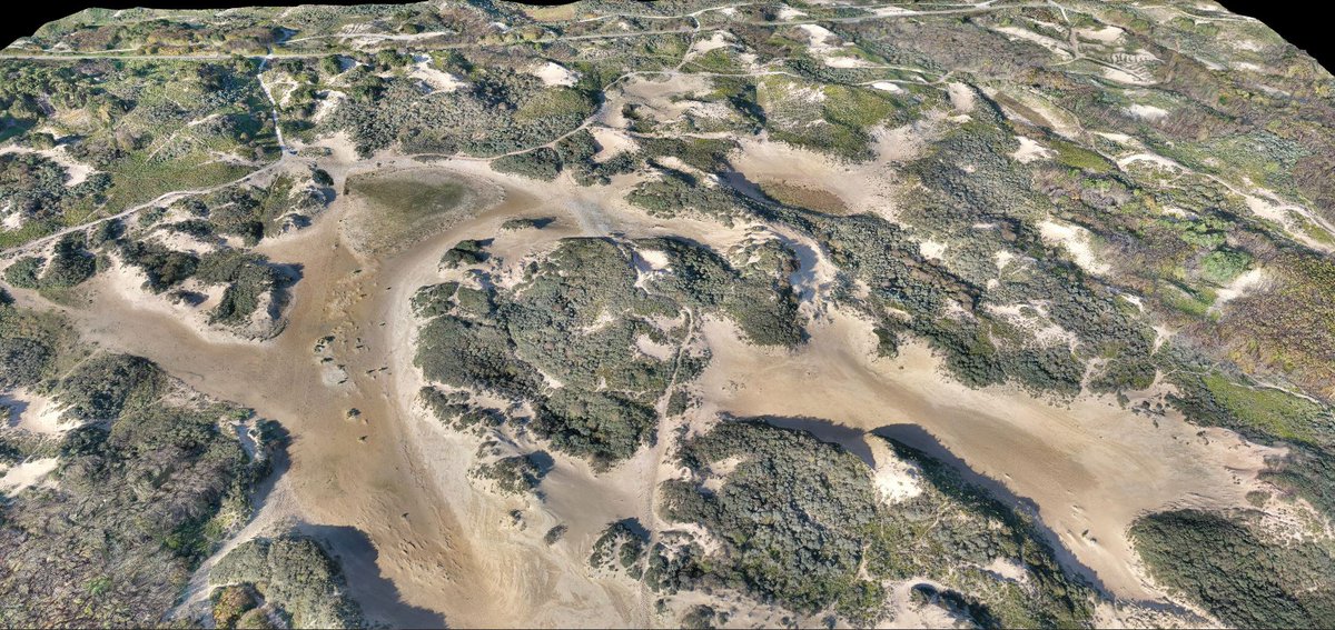 Toine128's tweet photo. NP Hollandse Duinen, Noordwijk verstuivingsvlakte november 2020 #staatsbosbeheer #noordwijk #NPhollandseduinen #stichtingduinbehoud #aircarus https://t.co/Rvl4iGwiYX