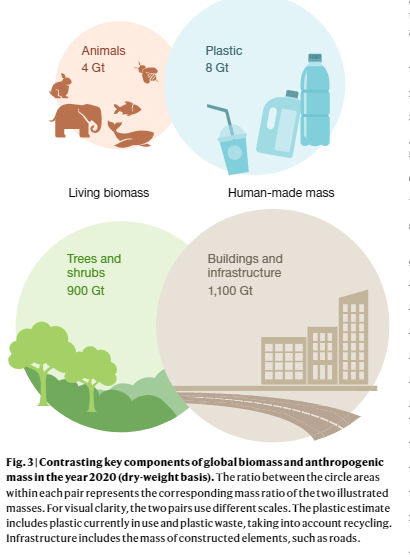 This article blows my mind 🤯🤯 human-made mass now exceeds living biomass. Plastic mass is double that of animal mass. We need urgent action to curb plastic waste linked with ultra-processed foods; also to constrain the power of mass-marketing, which is surely a key driver here?