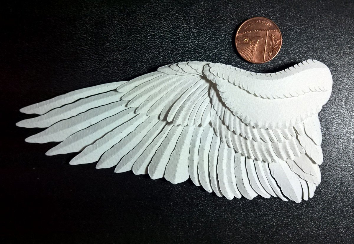 #ArtAdventCalendar Day 9. Not so overtly wintry as all the others so far, but I declare that birds are for all seasons. Low relief paper sculpture of a pigeon wing. I made a mistake with the number of coverts, but I hope to make a better one in future.