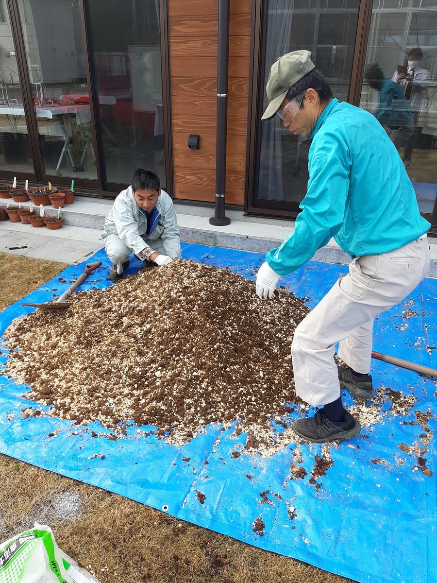 園芸ｌａｂｏの丘 V Twitter ブルーベリー 土づくりをしています ピートモスと鹿沼土を使ってます ブルーベリーの土は酸性でないとダメなのです