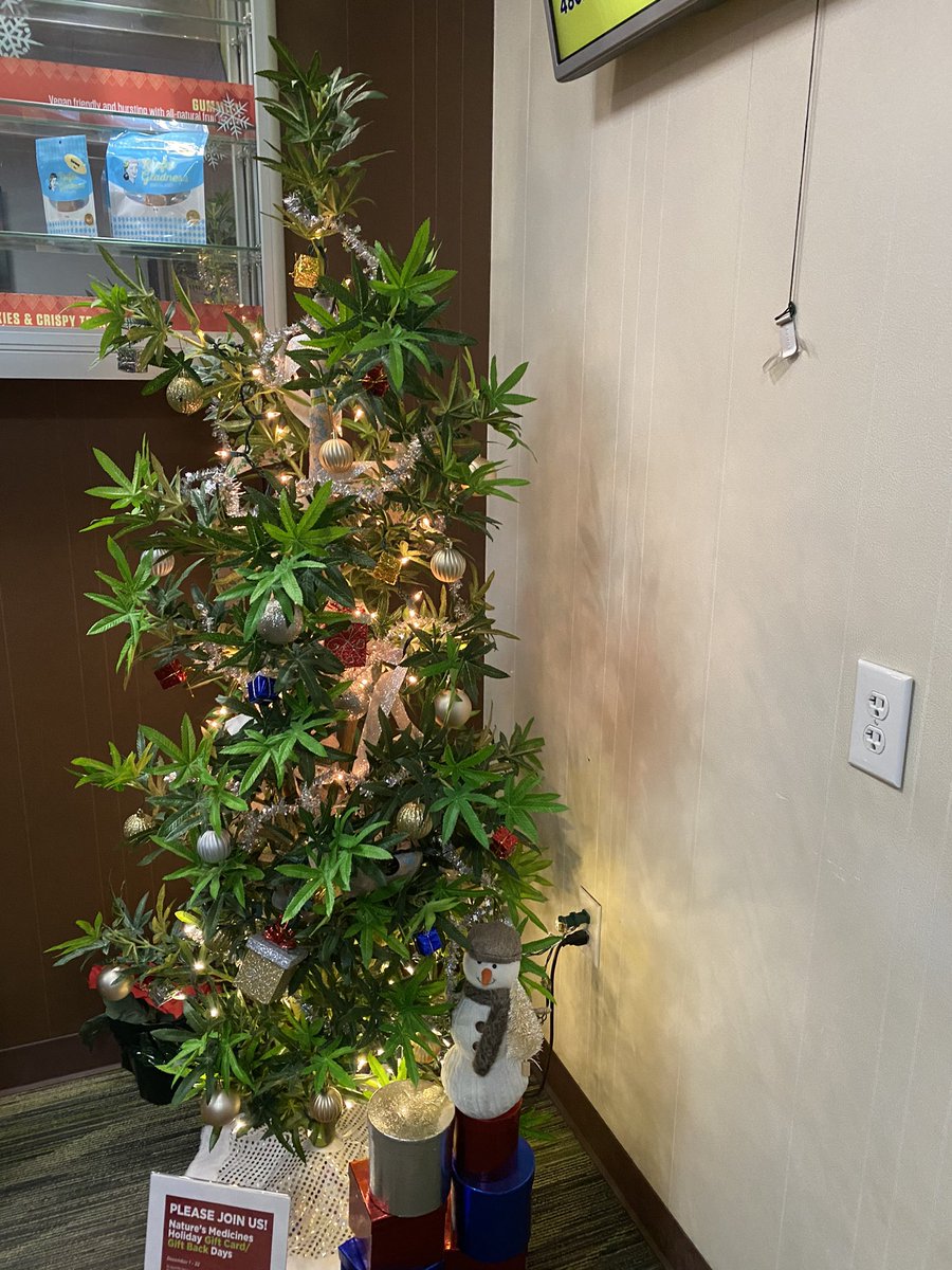 Teresa On Twitter Cannabis Christmas Tree Tree Loud Skunk Dank Weed Marijuana Cannabis Christmatree Naturesmedicine Phoenix Https T Co Dlh3eghaiq