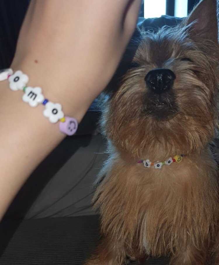 their matching bracelet and collar 