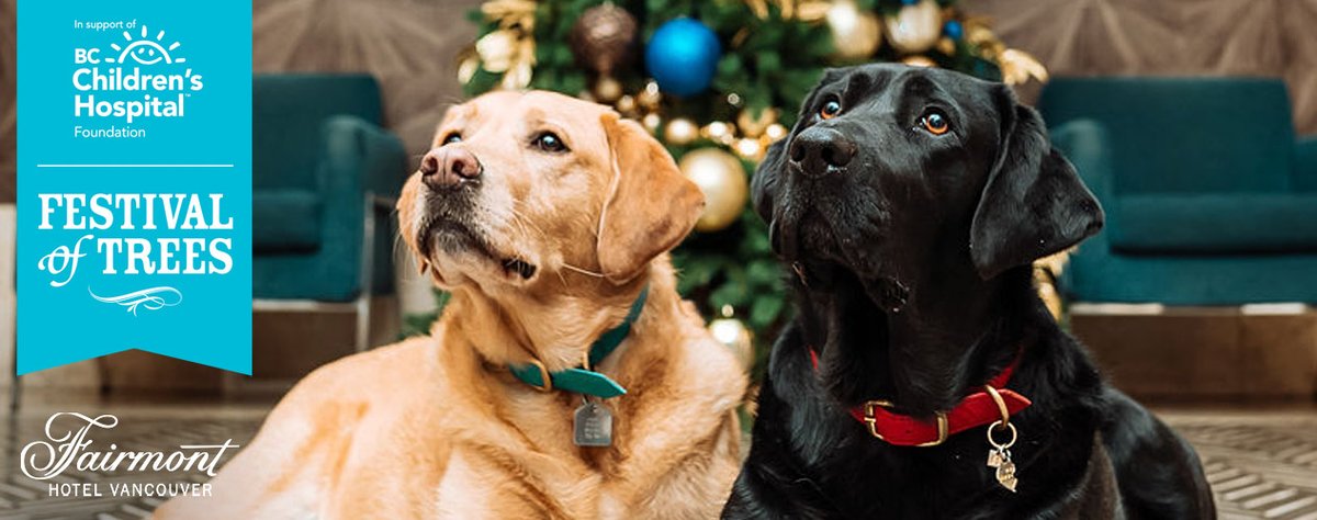 The Festival of Trees has gone virtual! We are proud to welcome you to the Festival of Trees in support of <a href="/BCChildrensHosp/">BC Children's Hospital</a>. Take the virtual tour, vote for your favorite tree and donate $5 by text to enter to win a luxury stay: bit.ly/HotelVan-Festi…