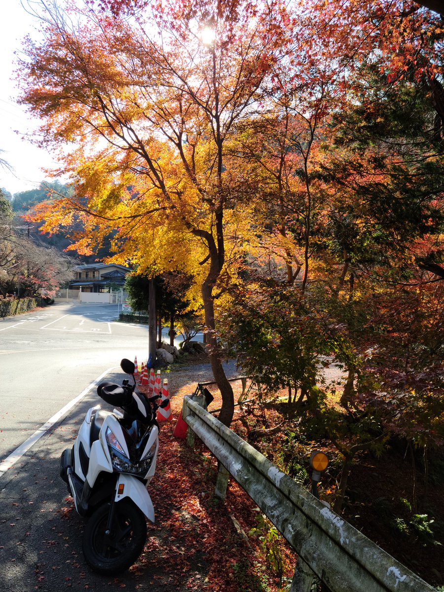 スクーターツーリング