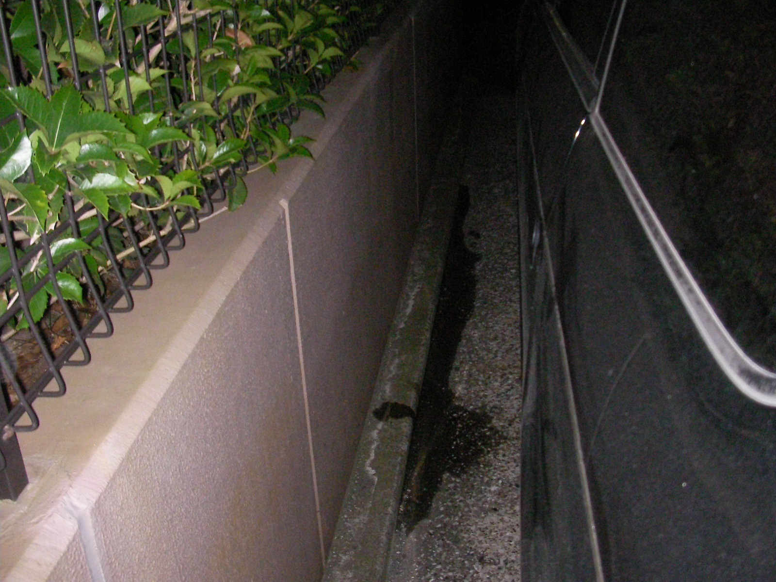 研究者496 on X: 久しぶりにフォルダー漁ってたらこんなの出てきたわ 某所での花火大会かな  車の陰から女の子が出てきた後を見てみたらこんなんなってたってやつだったか t.coXBmIZjOwCj  X