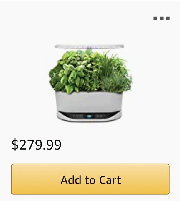 Santa said i'm on the naughty list, so you will have to spoil me for Christmas instead ♡ https://t.co/dY8kNTJacB<a href="/tag/catlady"class="tags"><span>#catlady</span></a><a href="/tag/caturday"class="tags"><span>#caturday</span></a><a href="/tag/catsoftwitter"class="tags"><span>#catsoftwitter</span></a><a href="/tag/7cats"class="tags"><span>#7cats</span></a>