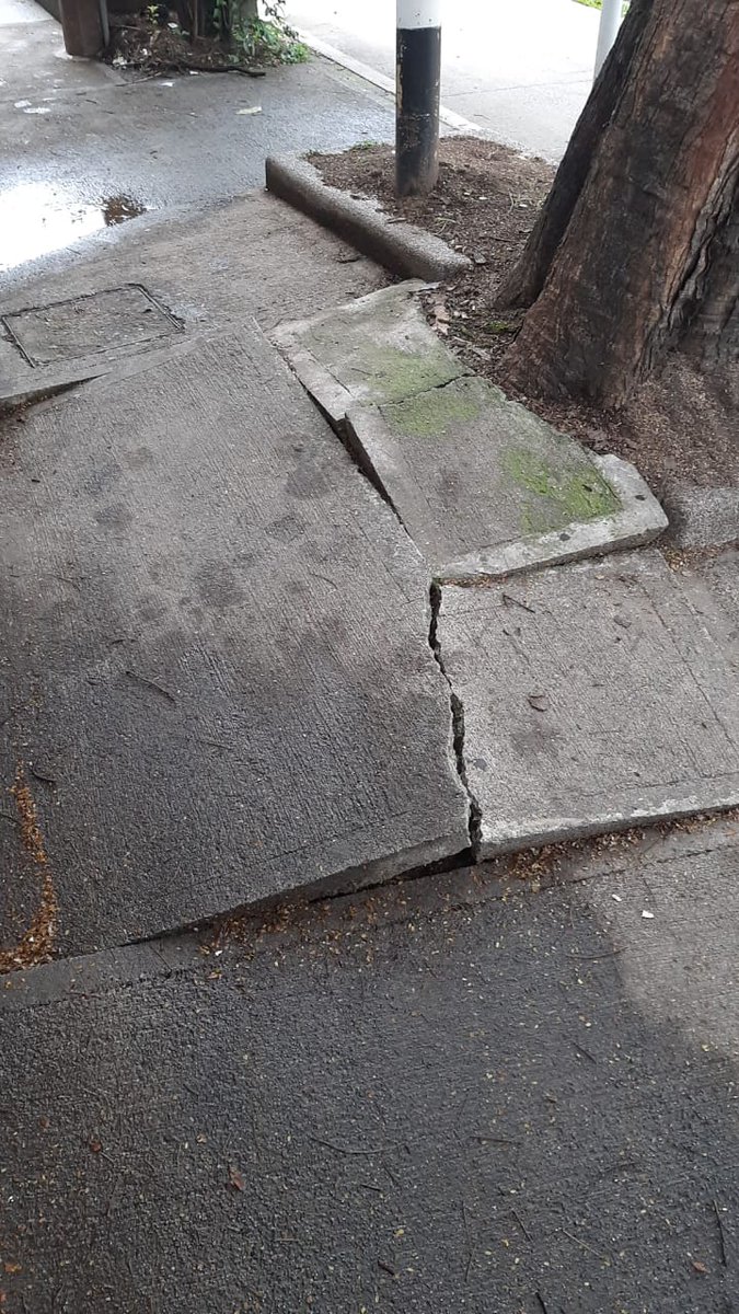 Nos reportan andén en mal estado, ya varias señoras se han caído. Ubicado en la circular 4 con carrera 73. <a href="/NataliaUrregoA/">Natalia Urrego Arias</a> <a href="/ObrasAntioquia/">Secretaría de Infraestructura</a> y está es la calidad de los andenes que merecen los ciudadanos? Una persona discapacitada la tendrán en cuenta para esto ? <a href="/Ale_Gomezl/">Mónica Alejandra Gómez Laverde</a>